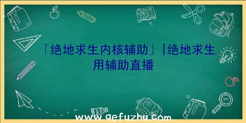 「绝地求生内核辅助」|绝地求生用辅助直播